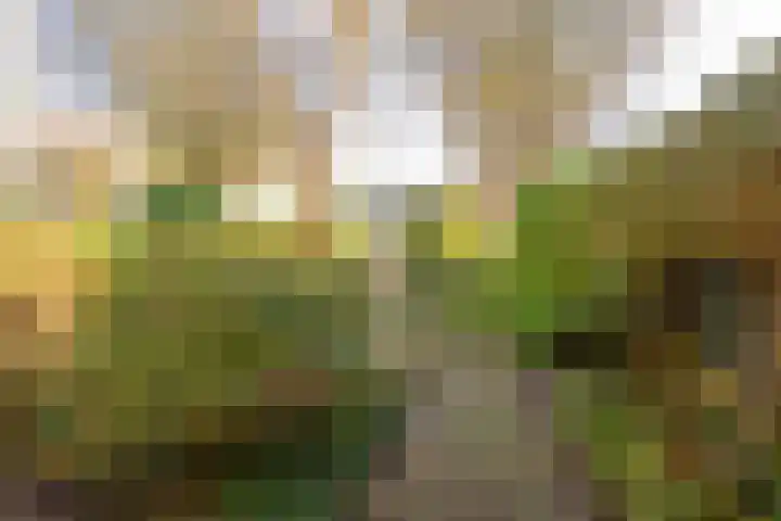 Pieter Wariuslaan 11 Midwoud thumbnail 42