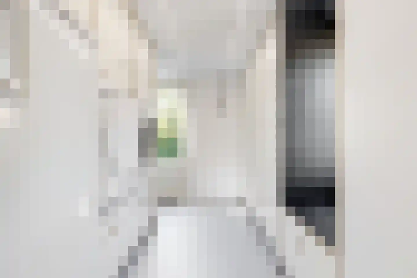 Pieter Wariuslaan 112 Midwoud thumbnail 17