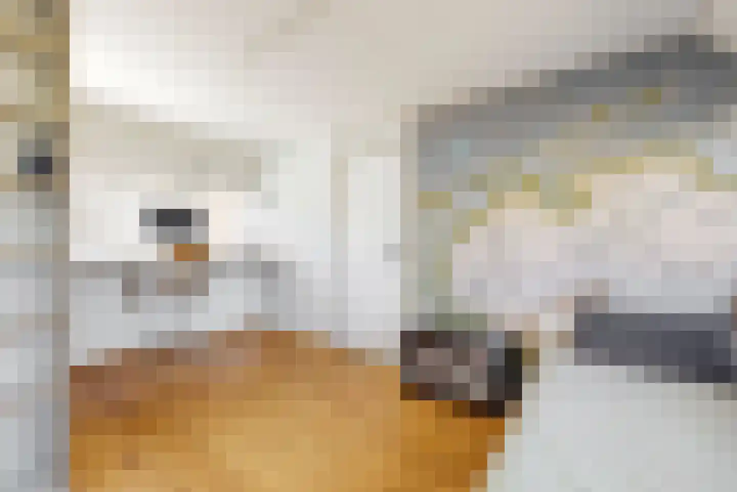 Pieter Wariuslaan 112 Midwoud thumbnail 28