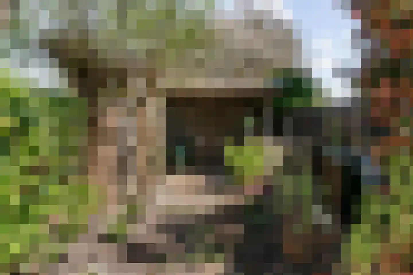 Pieter Wariuslaan 112 Midwoud thumbnail 37