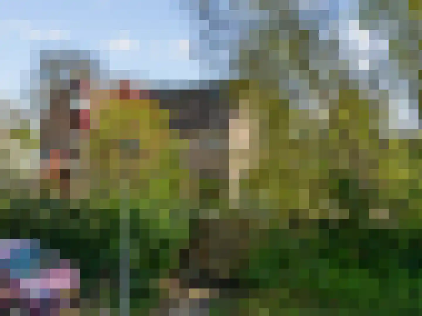 Pieter Wariuslaan 112 Midwoud thumbnail 39