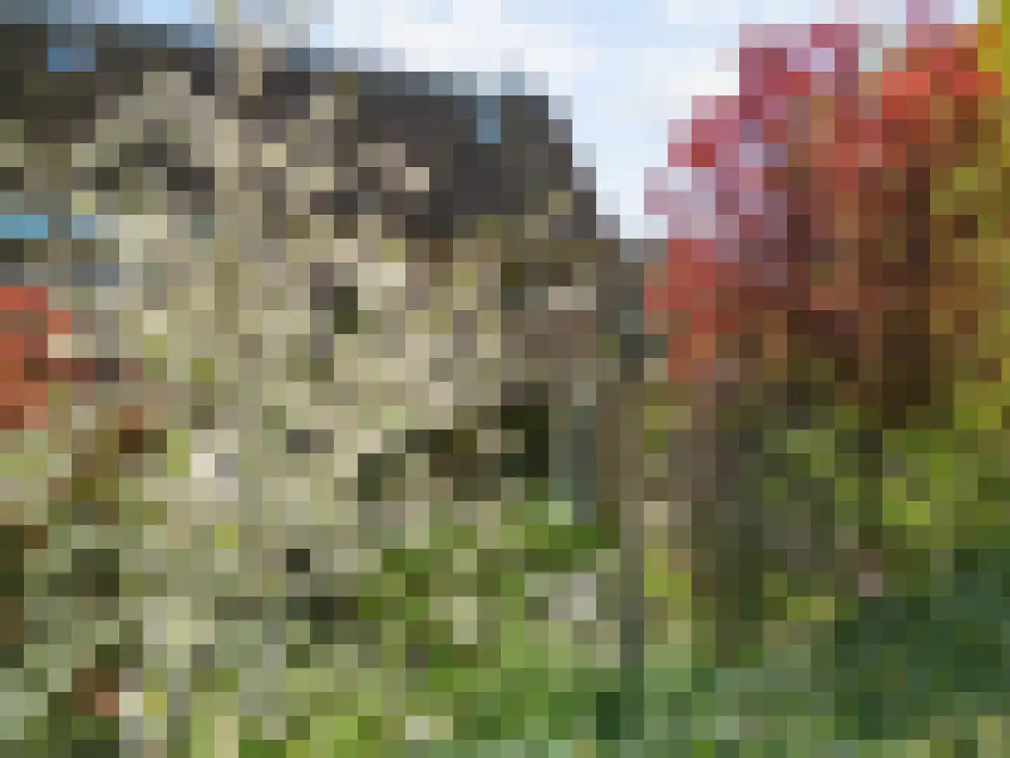Pieter Wariuslaan 112 Midwoud thumbnail 41