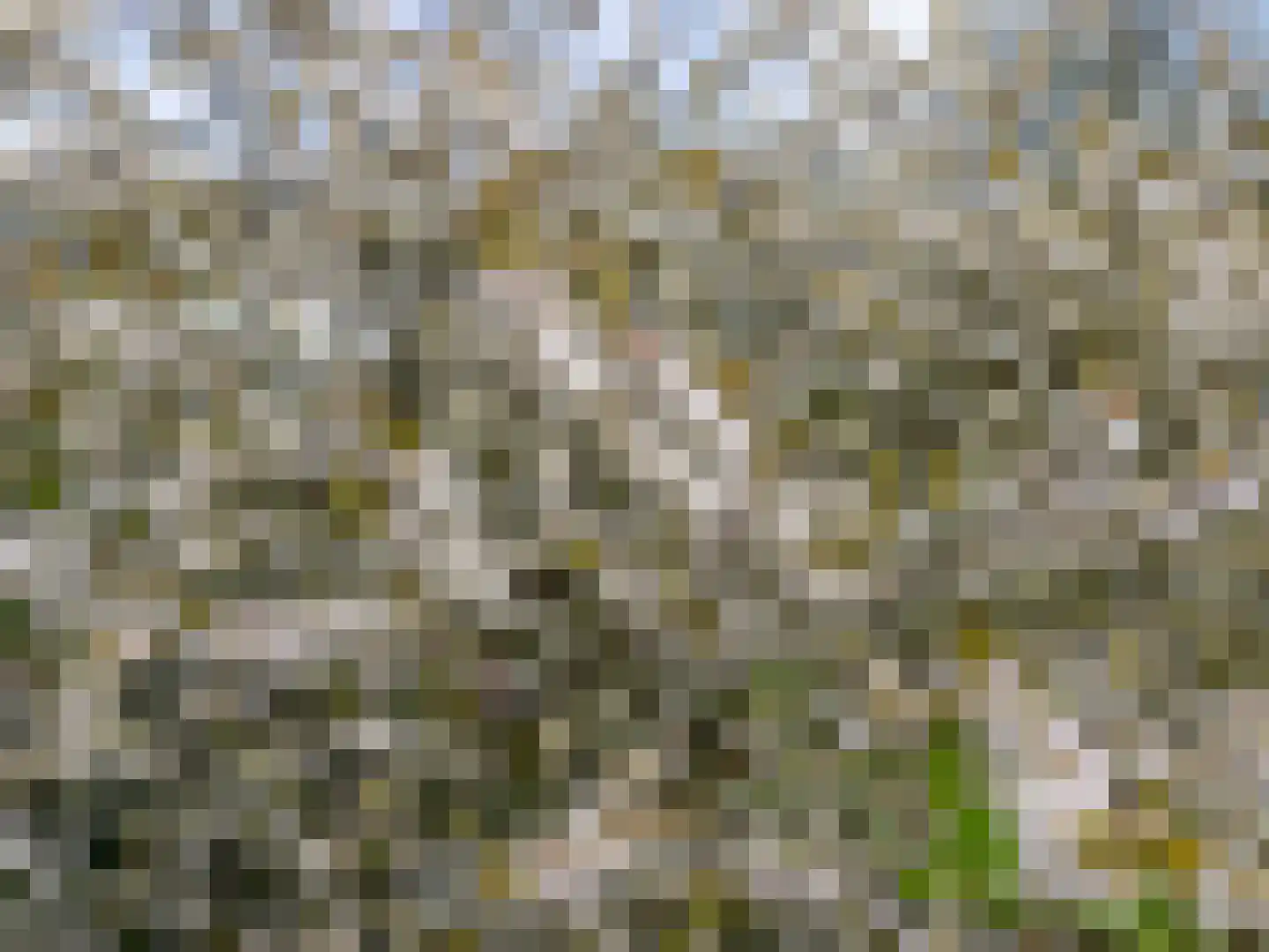 Pieter Wariuslaan 112 Midwoud thumbnail 42
