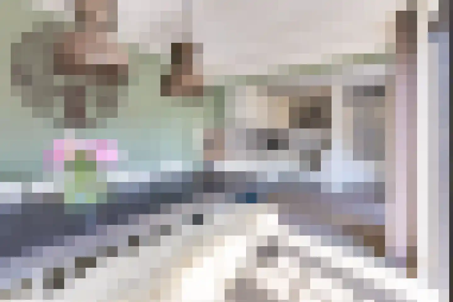 Pieter Wariuslaan 136 Midwoud thumbnail 18