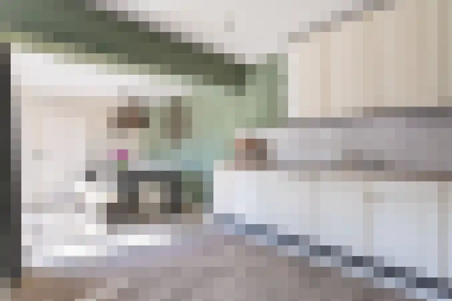 Pieter Wariuslaan 136 Midwoud thumbnail 19
