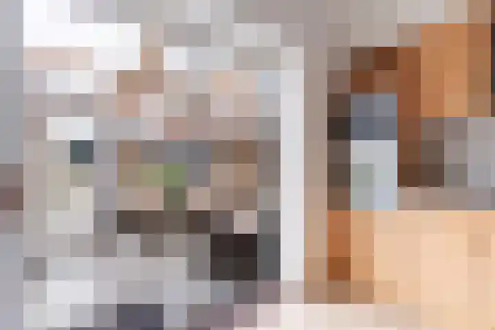 Pieter Wariuslaan 25 Midwoud thumbnail 12