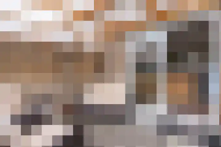 Pieter Wariuslaan 25 Midwoud thumbnail 13