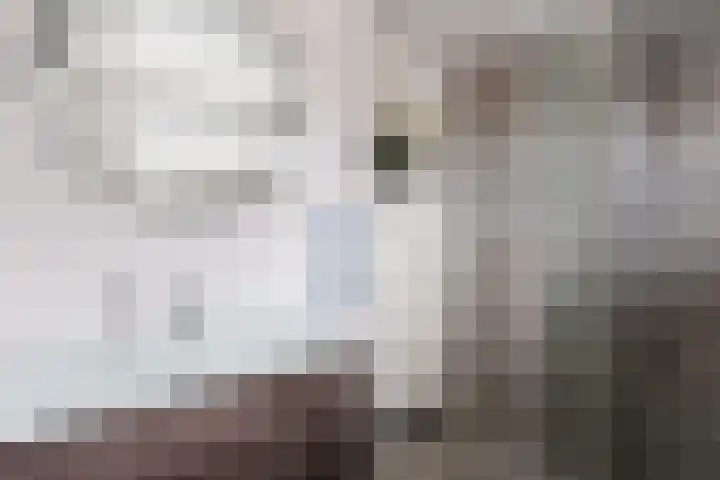 Pieter Wariuslaan 25 Midwoud thumbnail 20