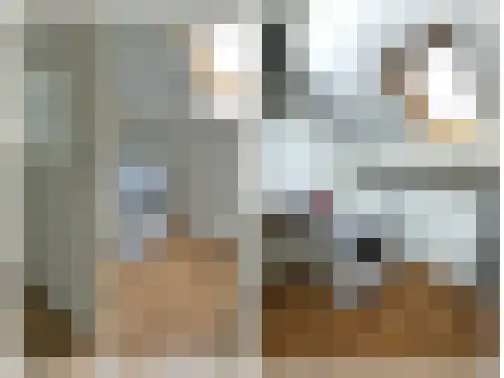 Pieter Wariuslaan 25 Midwoud thumbnail 30