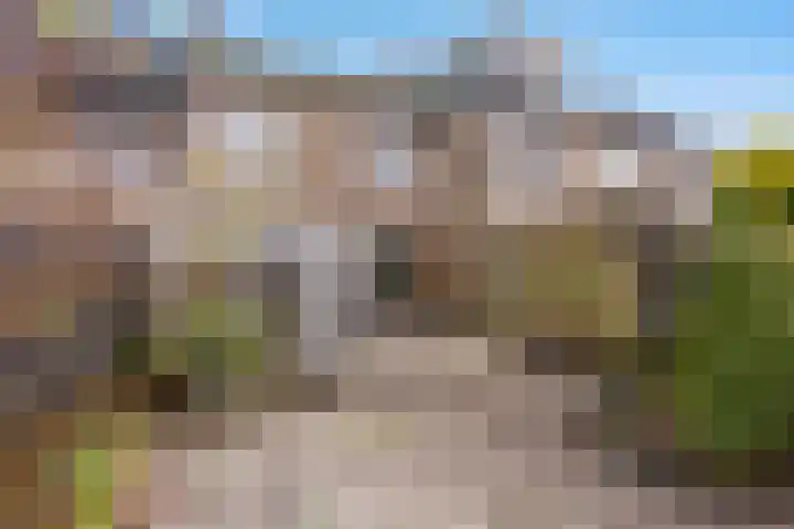 Pieter Wariuslaan 25 Midwoud thumbnail 31