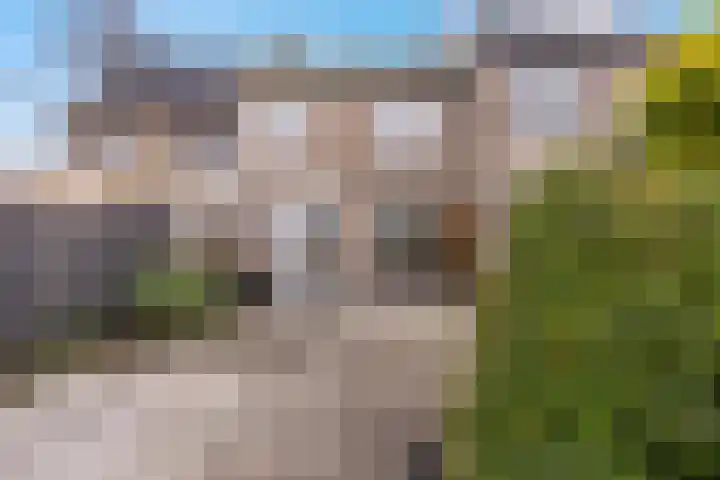Pieter Wariuslaan 25 Midwoud thumbnail 32