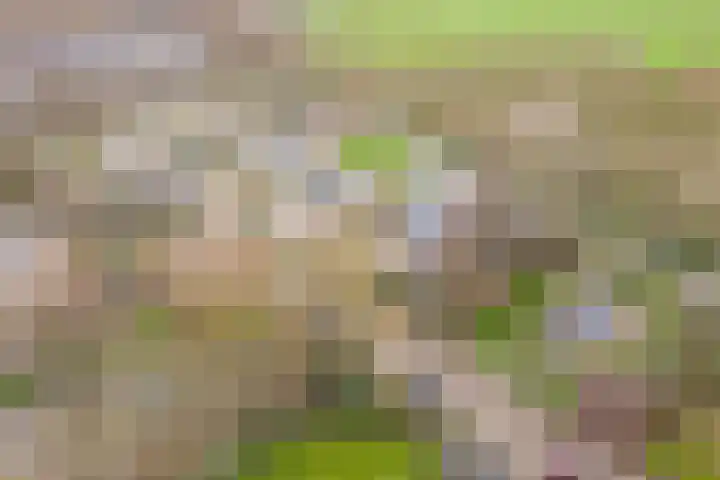 Pieter Wariuslaan 25 Midwoud thumbnail 39