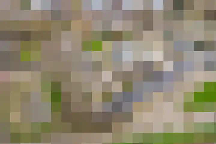 Pieter Wariuslaan 25 Midwoud thumbnail 40