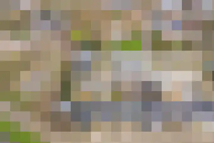 Pieter Wariuslaan 25 Midwoud thumbnail 41