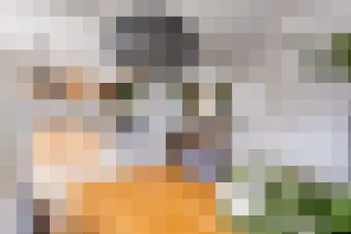 Pieter Wariuslaan 25 Midwoud thumbnail 9