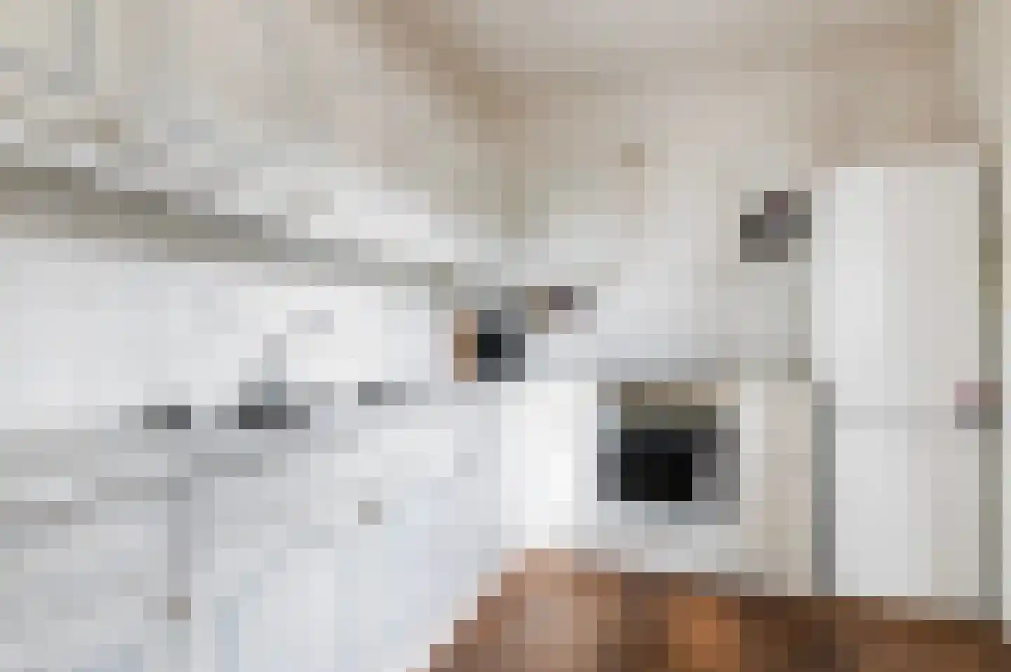 Pieter Wariuslaan 28 Midwoud thumbnail 10