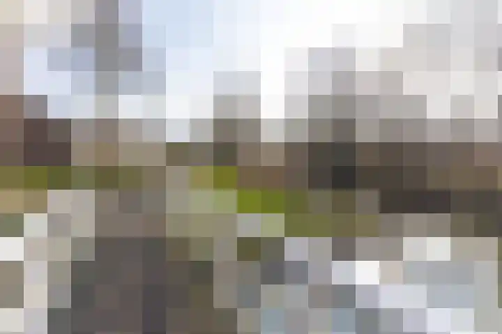 Pieter Wariuslaan 68 Midwoud thumbnail 4