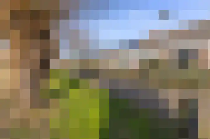 Pieter Wariuslaan 68 Midwoud thumbnail 6