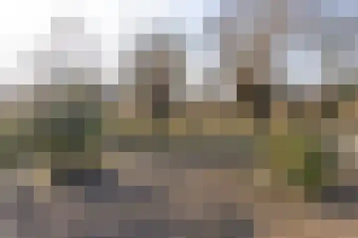 Pieter Wariuslaan 68 Midwoud thumbnail 8