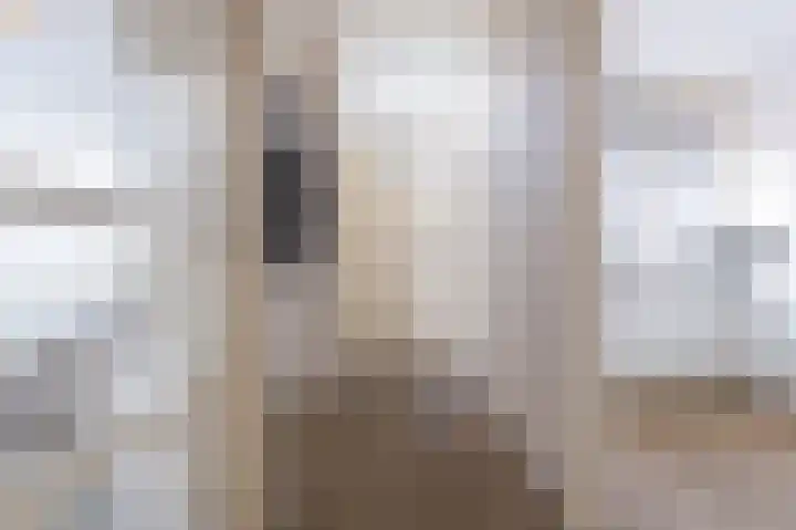 Pieter Wariuslaan 68 Midwoud thumbnail 9