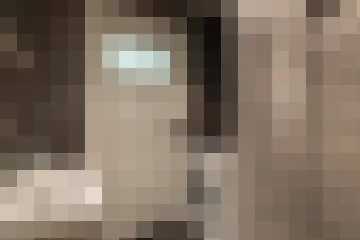 Pieter Wariuslaan 78 Midwoud thumbnail 28