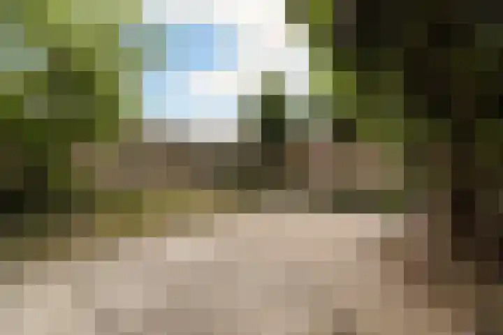 Pieter Wariuslaan 78 Midwoud thumbnail 29