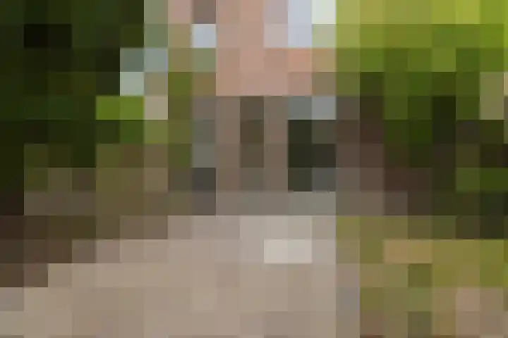 Pieter Wariuslaan 78 Midwoud thumbnail 31