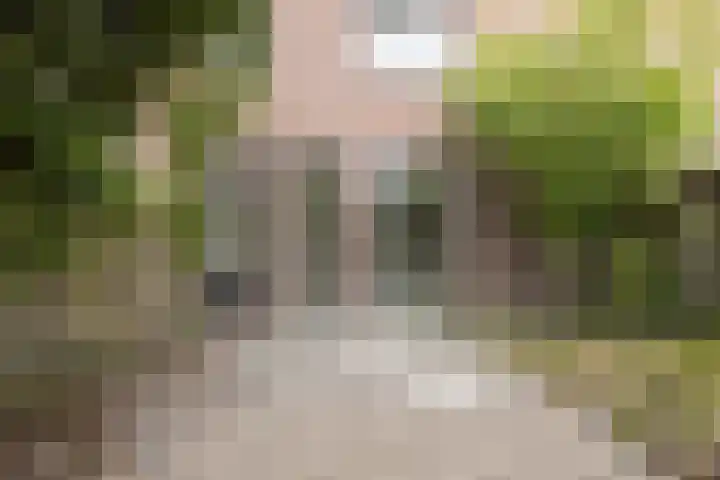 Pieter Wariuslaan 78 Midwoud thumbnail 32