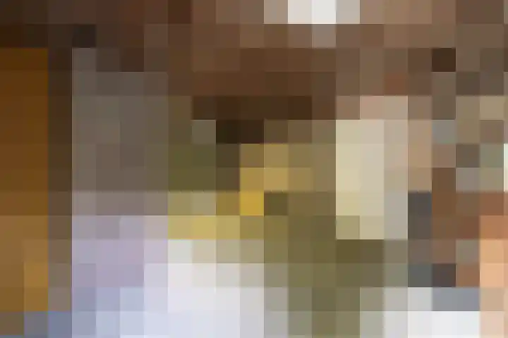 Pieter Wariuslaan 78 Midwoud thumbnail 34