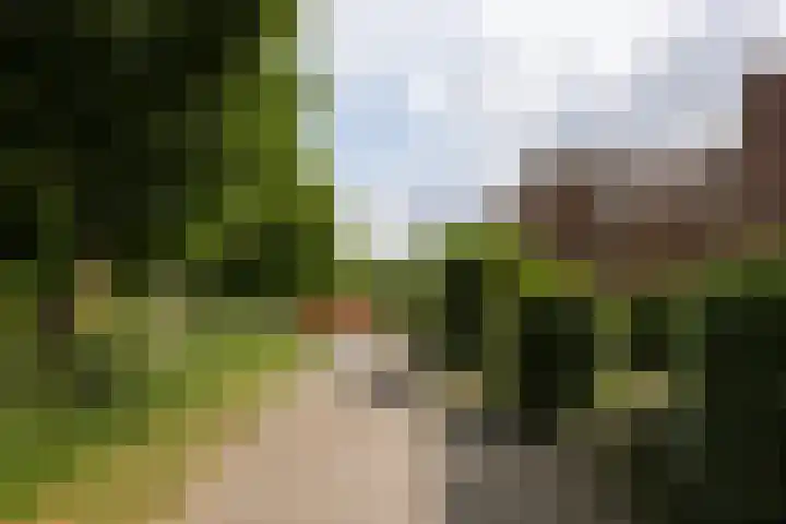 Pieter Wariuslaan 78 Midwoud thumbnail 35
