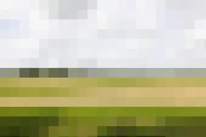 Pieter Wariuslaan 78 Midwoud thumbnail 36