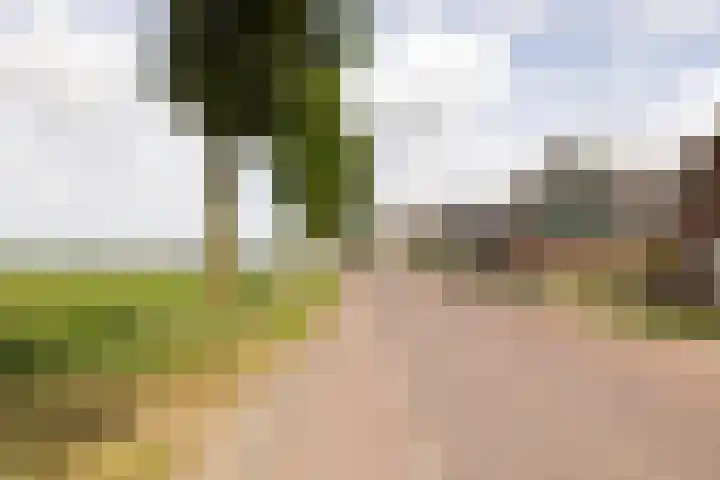 Pieter Wariuslaan 78 Midwoud thumbnail 37