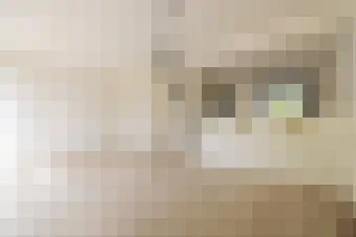 Pieter Wariuslaan 78 Midwoud thumbnail 4