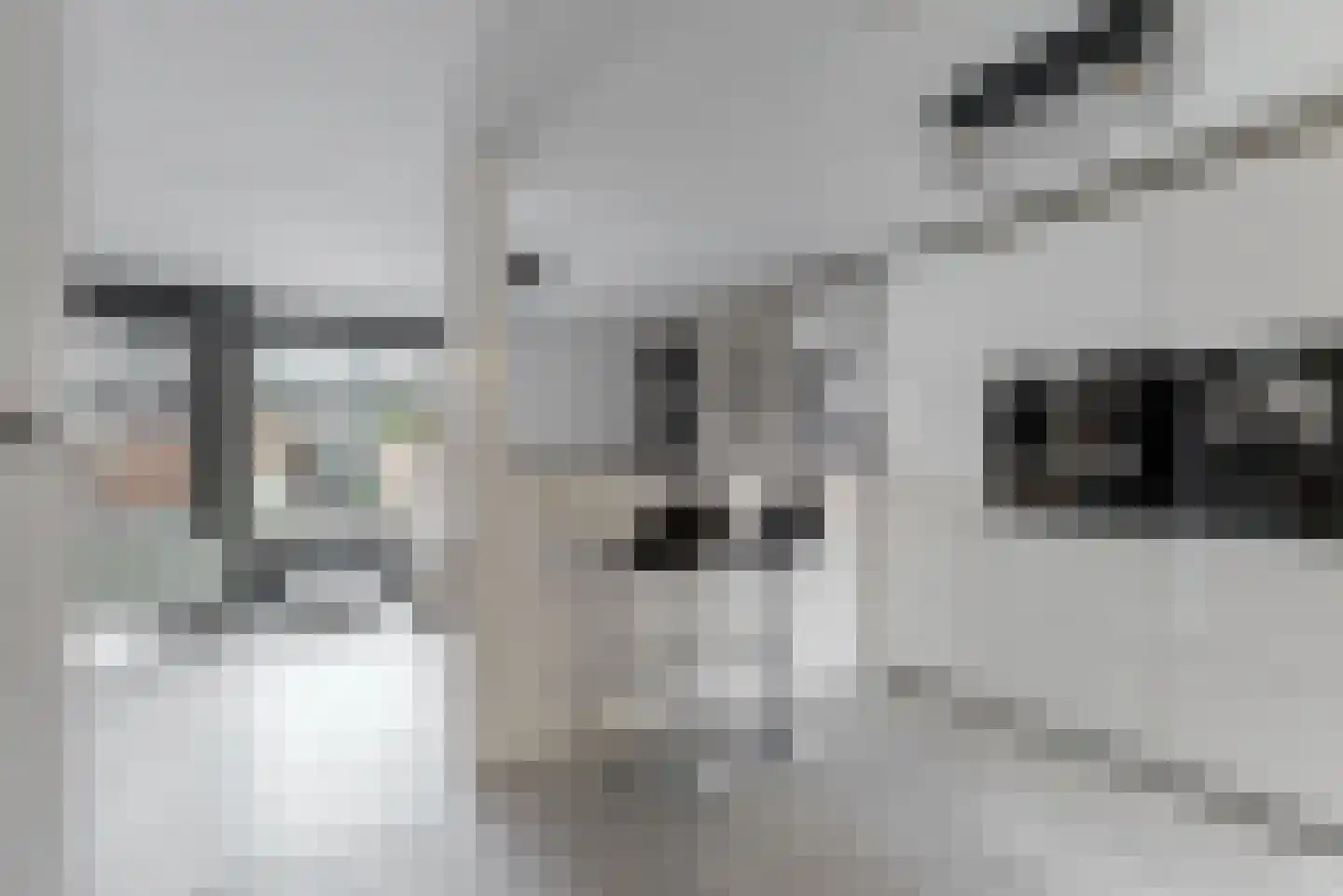 Pieter Wariuslaan 84 Midwoud thumbnail 12