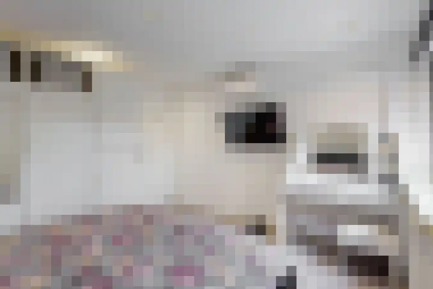 Pieter Wariuslaan 84 Midwoud thumbnail 16