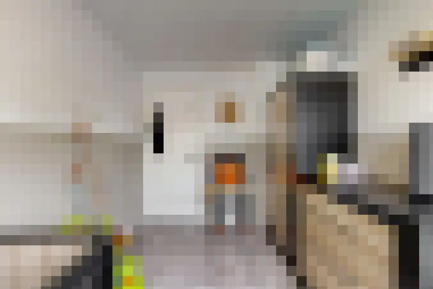 Pieter Wariuslaan 84 Midwoud thumbnail 23