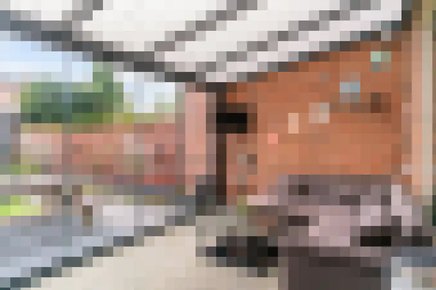 Pieter Wariuslaan 84 Midwoud thumbnail 31