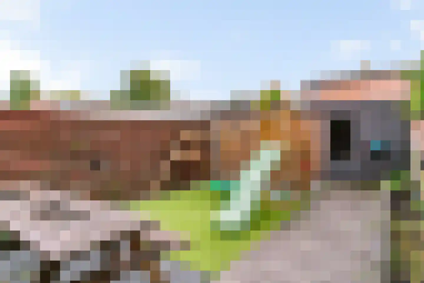 Pieter Wariuslaan 84 Midwoud thumbnail 33