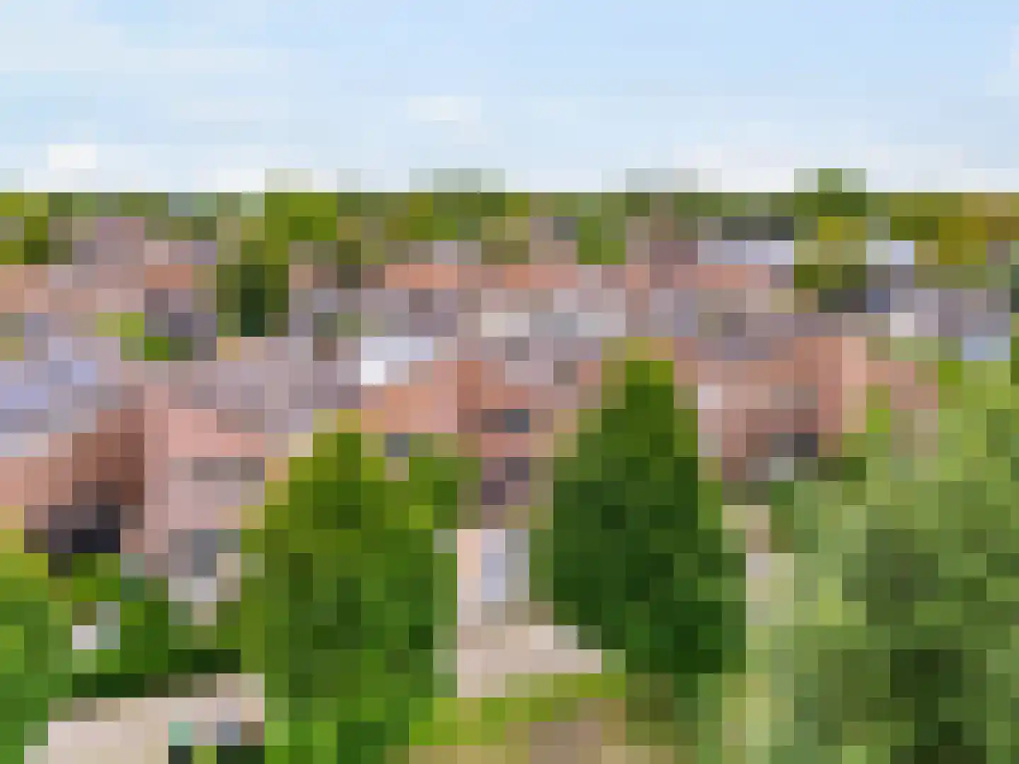 Pieter Wariuslaan 84 Midwoud thumbnail 40