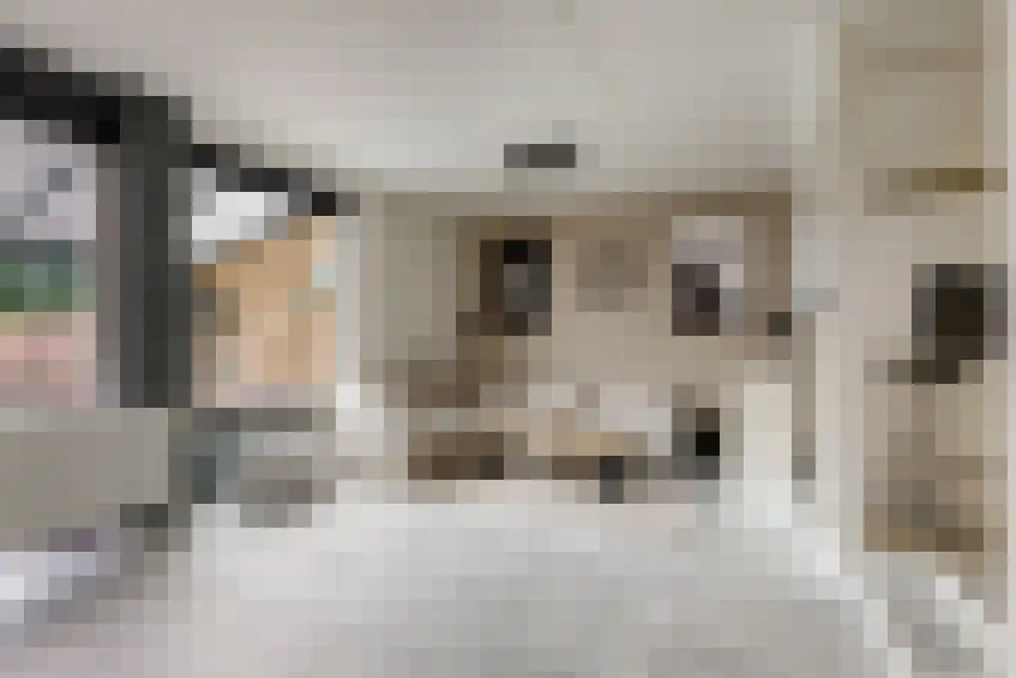 Pieter Wariuslaan 84 Midwoud thumbnail 5