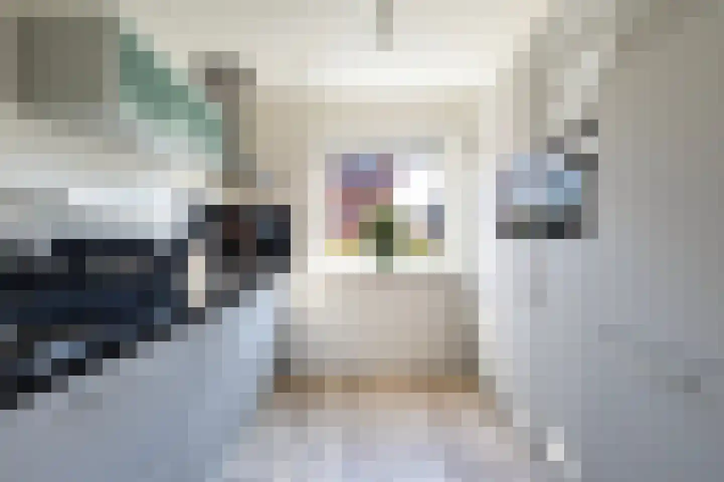Pieter Wijbengastraat 18 Leeuwarden thumbnail 23
