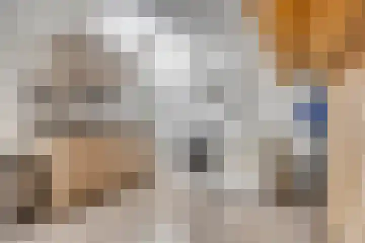 Pieter Wijbengastraat 24 Leeuwarden thumbnail 32