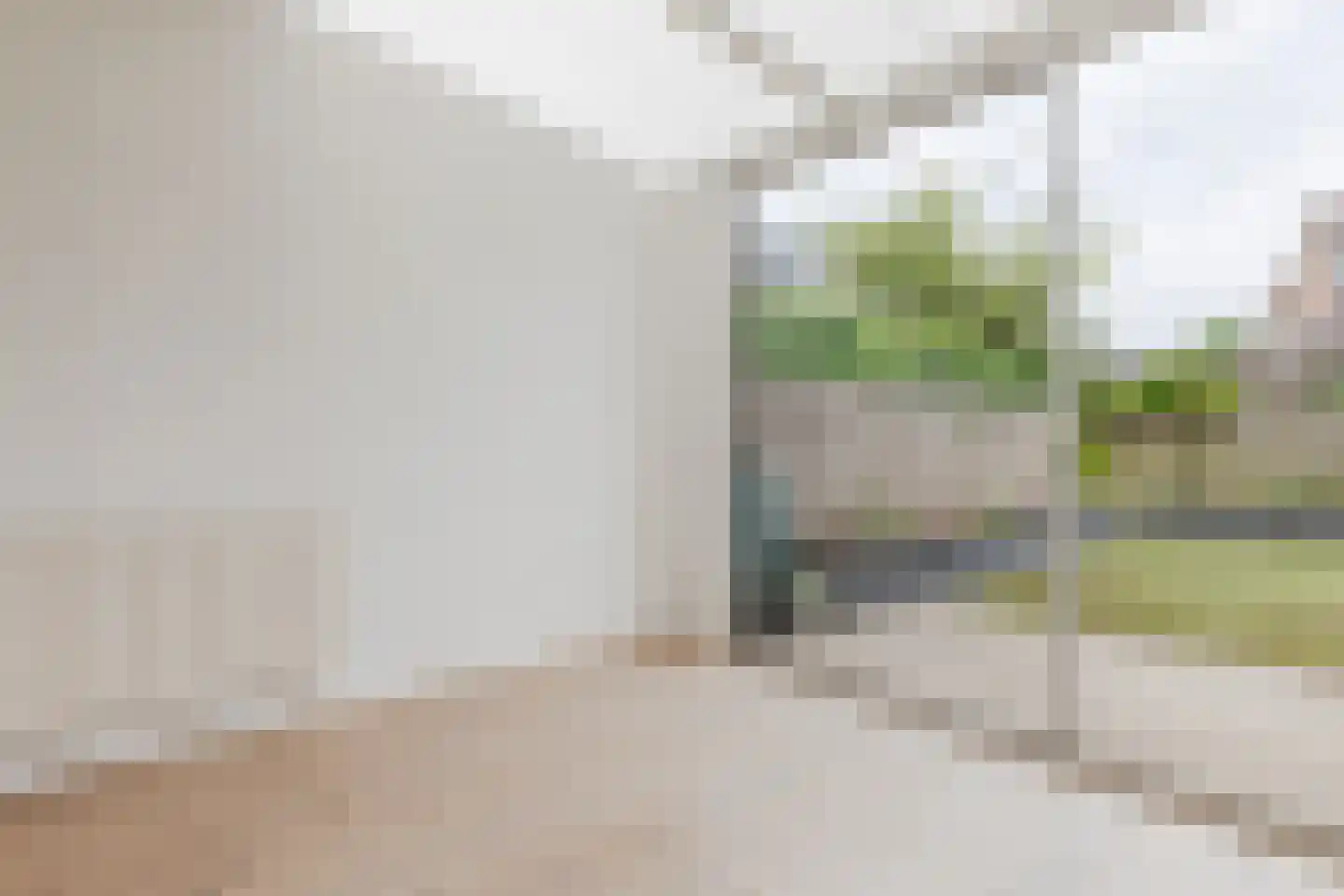 Pieter Willemsstraat 26 Bergeijk thumbnail 13