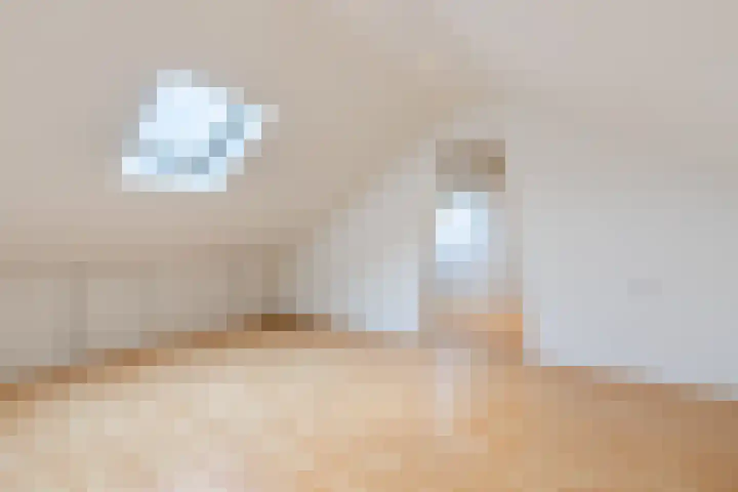 Pieter Willemsstraat 26 Bergeijk thumbnail 21
