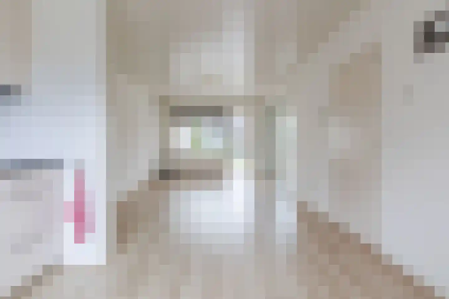 Pieter Willemsstraat 26 Bergeijk thumbnail 7