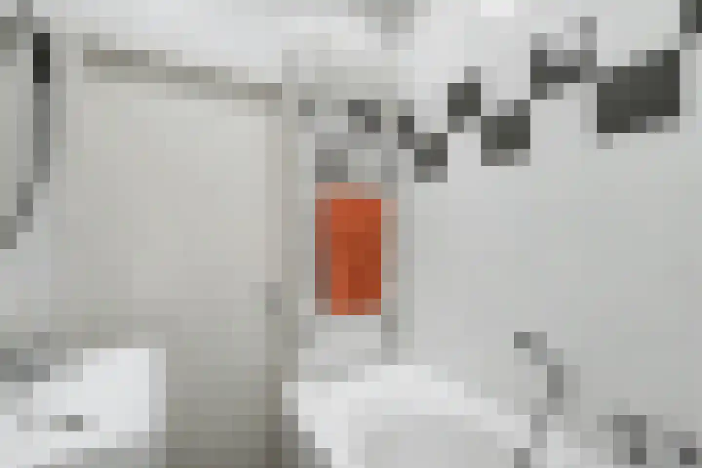 Pieter Woutersestraat 30 Rotterdam thumbnail 20