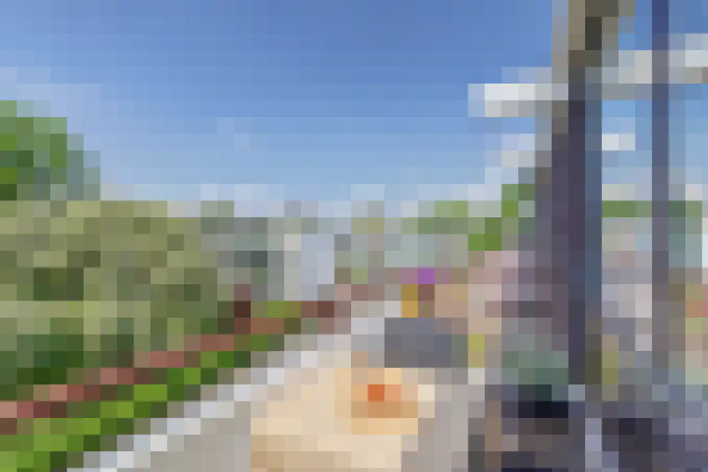 Pieter Woutersestraat 30 Rotterdam thumbnail 24