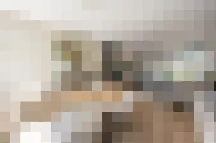 Pieter Woutersestraat 52 Rotterdam thumbnail 10