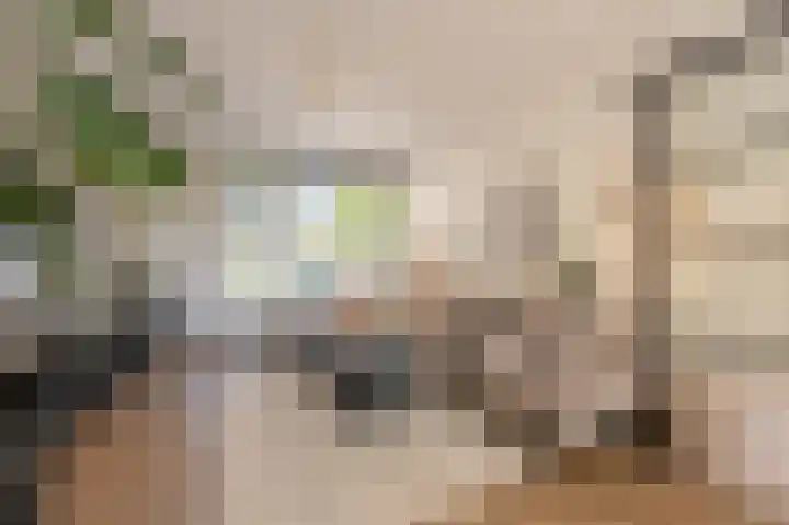 Pieter Woutersestraat 52 Rotterdam thumbnail 5