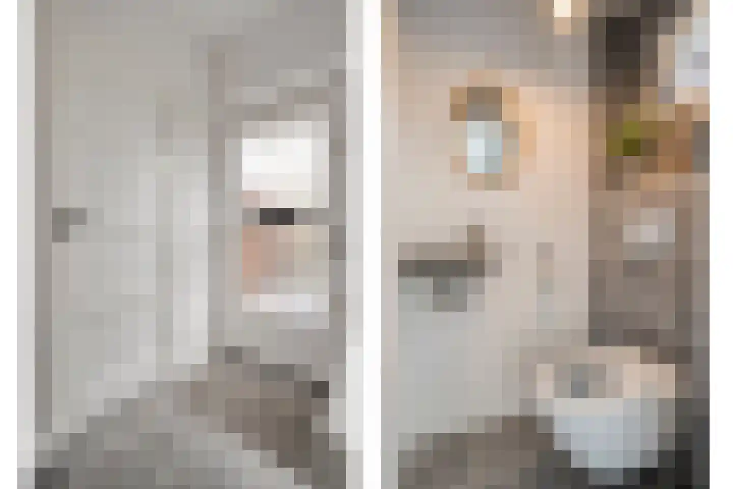 Pieter Zeemanlaan 22 Zwolle thumbnail 14